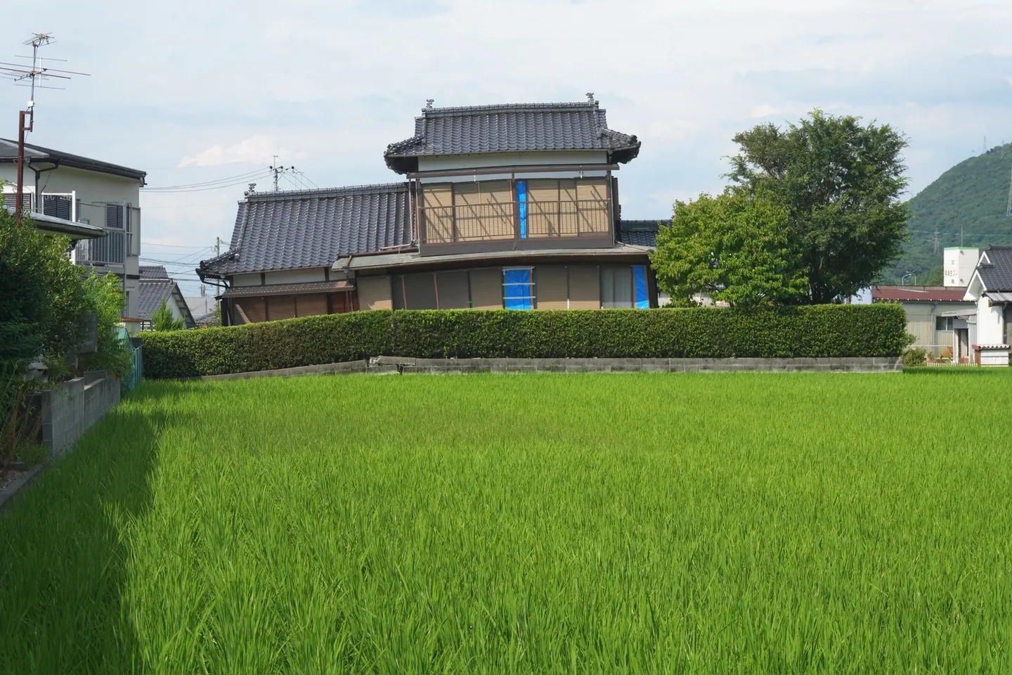 田畑の向こうに家屋が並ぶ被災地域の景観